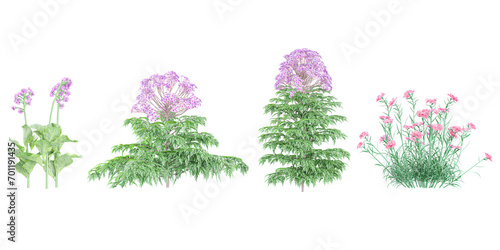 Jungle Vervain,Carnation flower plants shapes cutout 3d render