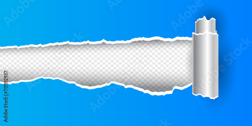 rolled ripped torn paper sheet on transparent background vector