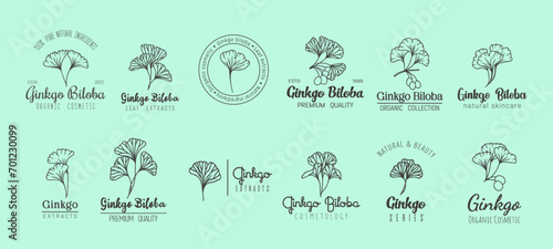 Ginkgo biloba minimal emblem, natural skin care cosmetics and extract. Vector set of linear labels with plant leaves and fonts, reflecting purity of nature. Simply clean and refreshing beauty cosmetic