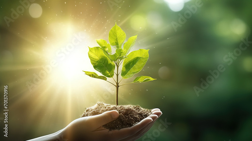 small tree growing with sunrise. green world and earth day concept, hand holding big tree growing on green background with sunshine, isolated background Generative AI