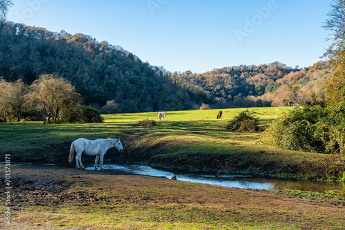 Beautiful scene in the Veio Regional Park, near Formello, Province of Rome, Lazio, Italy.