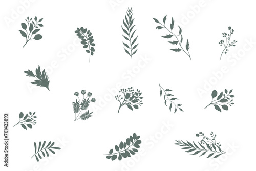 Hand drawn botanical silhouette of branches, flowers and leaves. Vector illustration