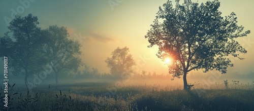 Misty morning Trees on field against sky. Creative Banner. Copyspace image
