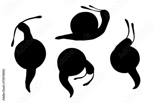 Set of silhouettes, doodles of snails. Vector graphics.