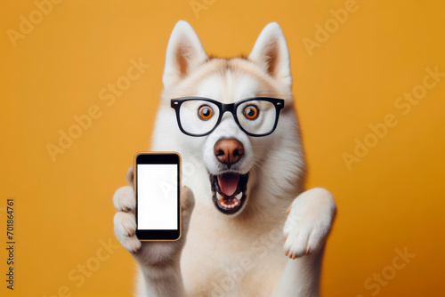Shocked haski dog in glasses holding smart phone mockup white screen over blue background. ai generative
