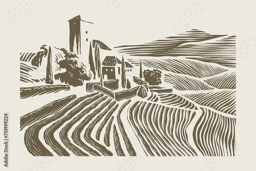 vineyard illustration using cutting technique