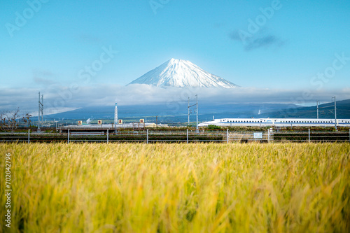 Landscape of Shinkansen train with rice field foreground and fuji mountain background