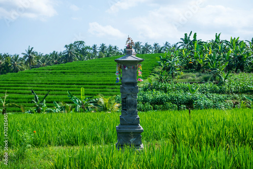 An altar for offerings to Dewi Sri (Balinese Hindu Goddess of rice and fertility) in the middle of rice paddy field in Bali, Indonesia.