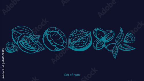Isolated vector set of nuts on dark background. Peanuts, cashews, walnuts, hazelnuts, almonds.Nuts and seeds collection. Vector hand drawn objects. Set of vector various nuts in vintage style.