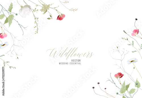 Wildflowers and plants vector design frame. Hand painted meadow branches, flowers, leaves on white background.