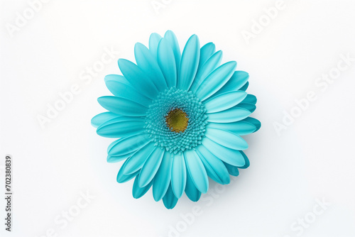 bud of gerbera turquoise flower, top view, yellow center, stamens, isolated on light background