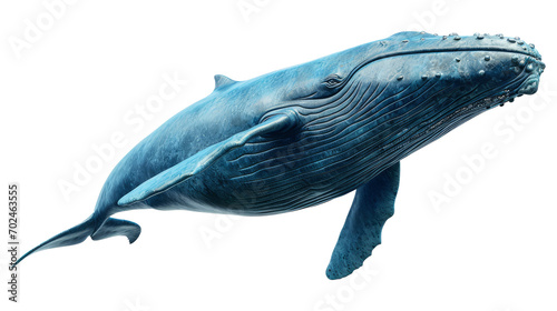 Big blue whale, cut out - stock png.