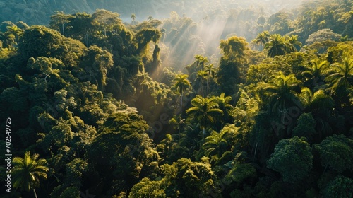a far view of a forest with sunbeams