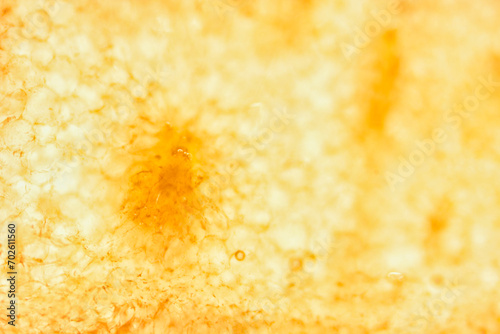 Microscopic shot of a yellow watermelon as an abstract background
