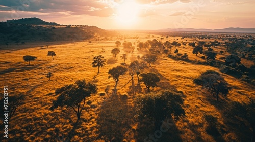 Aerial Photography, sprawling savannas, dry tropical climate, warm sunset light, wilderness, golden grasslands, scattered trees, wildlife habitats