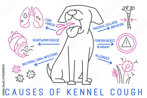 Causes of kennel cough in dogs. Dog diseases concept.