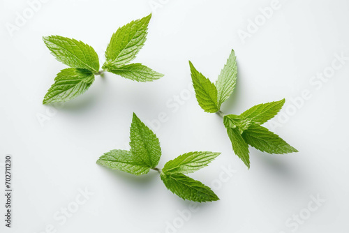4 mint leaves isolated on a white background