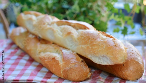 french bread baguette