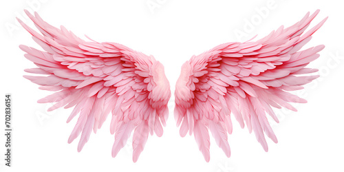 Pink angel wings isolated on white