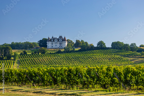 Chateau Monbazillac ( Monbazillac castle) with vineyards, Aquitaine, France