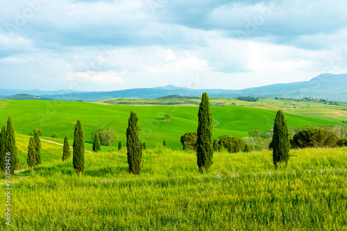 Rolling Hills of Tuscany - Italy