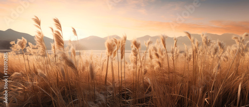 Landscape with dry reeds, beige cane, pampas grass. Macro Shoot. Nature, herbal background. Boho design. Generative ai