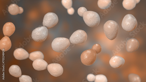 Histoplasma capsulatum yeasts, 3D illustration