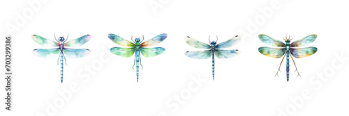 Watercolor dragonfly set. Vector illustration design.