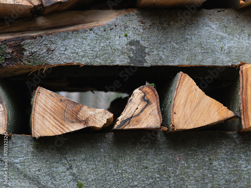 Geschnittenes, gestappeltes Kaminholz Buche im Wald, Regenwetter