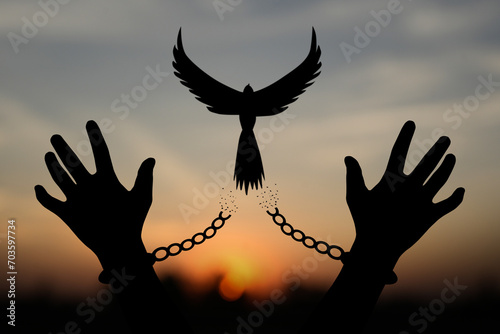 Freedom concept. The shadow of a pigeon is released from the chains that bind human arms. golden sun background in the morning