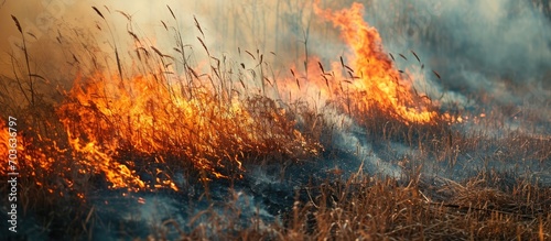 Wild fire burning dried grass on field during the day. Smoking and emitting flame, smoke, and ash. Ecological disaster impacting the environment, contributing to climate change and ecological