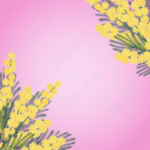 Greeting card invitation for March 8th. Spring flowers yellow mimosa with green leaves on a pink background. Women's Day. Hand drawn vector illustration for wedding and anniversary. Hello spring.