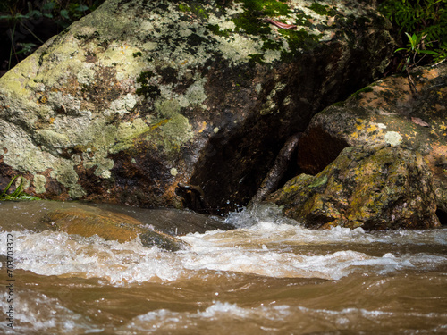 Le cour d'eau d'une rivière avec des rochers mousseux 