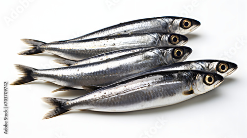fresh sardine fish