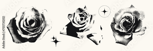 Roses photocopy effect elements set. Flower heads with grunge stippling grain messy texture. Trendy y2k aesthetic vector illustration. Ideal for poster design, t shirt, tee print, sweatshirt