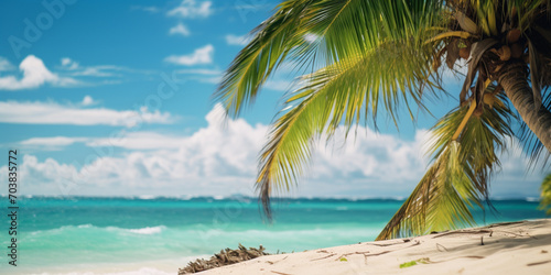 Tropical beach panorama view, coastline with palms, Caribbean sea in sunny day, summer time, Tropical seascape with, Background of summer beach, white sand coastline.