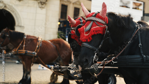 Horses In An Old City Center In Europe Provide Entertainment For Tourists