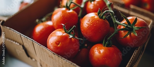 Macro close-up top-view of red tomatoes in a cardboard container on a white table.