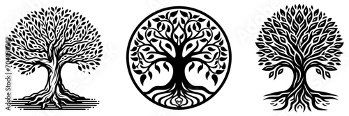 Tree of life set, tree branch with leaves signs. natural plant design elements emblems, organic nature symbols, vector illustration.