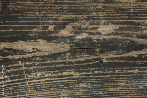 Stare drewno, tekstura, tło 