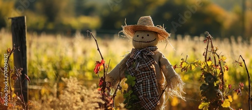 Vineyard's scarecrow.