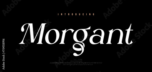 Luxury alphabet italic letters logo font and number. Elegant Classic Modern Serif Lettering Minimal Fashion. Typography decoration fonts for branding, wedding, logos. vector illustration