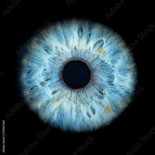 Macro photo of human eye on black background. Close-up of male blue colored eye. Structural Anatomy. Iris Detail. Filamentes and Pigments. Super Resolution.