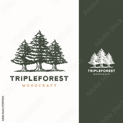 pine evergreen cedar cypress larch pinus tree forest vintage retro hipster hand drawn Logo design illustration