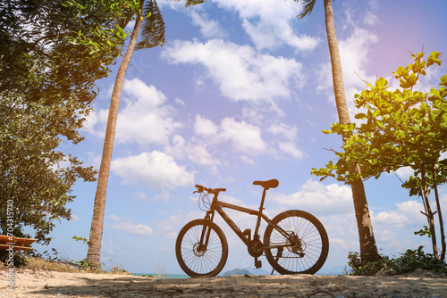 Bicycle between palm trees against the blue sky. The concept of active recreation, vacation and travel.