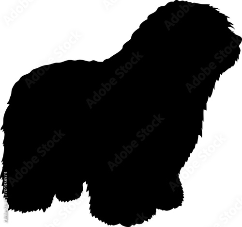 Bergamasco Sheepdog. Dog silhouette breeds dog breeds dog monogram logo dog face vector