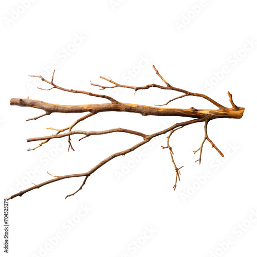 Dry branches twigs for camp. Isolated on transparent background.