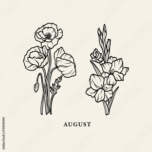 Line art poppy and gladiolus flowers