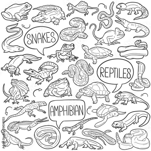 Reptiles Doodle Icons Black and White Line Art. Animals Clipart Hand Drawn Symbol Design.
