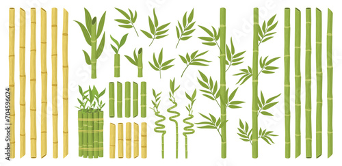 Cartoon bamboo. Asian forest plant with branches and leaves, green bamboo sprouts, Chinese or Japanese flora flat vector illustration set. Bamboo plant collection